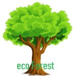 EcoForest — мебель из массива