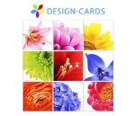 Design-cards.ru графическая продукция
