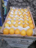 лимоны из Узбекистана