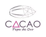 импорт и производство какао продукции из Эквадора