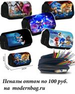 ПЕНАЛ SD