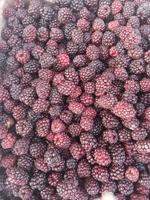 Ежевика замороженная