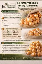 ЛУК РЕПЧАТЫЙ от производителя КФХ