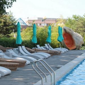 Шезлонги для отелей из искусственного ротанга от Malacca