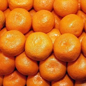 Сочный мандарин из Ирана
