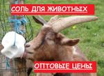 Соль для животных