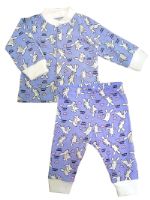 Комплект для малыша (кофтчка+штанишки) 001