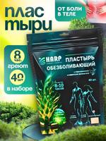 Пластырь обезболивающий для суставов и мышц, 40 шт.