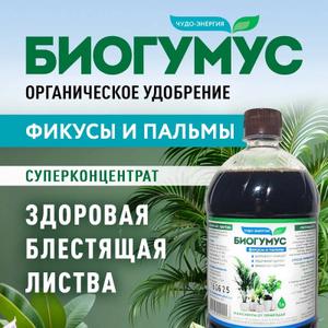 Удобрение Биогумус для Фикусов и Пальм
Придайте вашим комнатным растениям новую жизнь с жидким биогумусом! Это органическое удобрение идеально подходит для круглогодичного домашнего ухода фикусов, пальм, спатифиллума, сансевиерии, бенджамина и замиокулькаса. Обеспечьте своим домашним растениям комплексное питание, которое способствует активному росту листвы и развитию корней.
Составленный на основе натурального гумуса, наш био-концентрат содержит все необходимые микроэлементы и аминокислоты, которые поддерживают здоровье ваших растений. Используйте его в качестве подкормки весной и летом, чтобы ваши любимцы радовали вас яркой зеленью и декоративным видом.
Биогумус подходит как для посадки рассады, так и для ухода за взрослыми деревьями. Он гарантирует отличный результат на подоконниках, балконах и в любом уголке вашего дома. Порадуйте свои растения и обеспечьте им полноценное питание и необходимый уход с помощью нашего экологически чистого удобрения!
Каждый литр экоудобрения создаст идеальные условия для развития и роста комнатных растений. Дайте своим фикусам и пальмам всё, что нужно для здоровья и красоты!