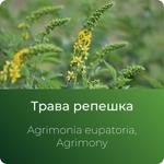 Репешка экстракт сухой https://www.altai-extracts.ru/trava-repeshka