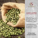 Зеленый кофе Робуста и Арабика из Вьетнама 09011190