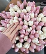 Тюльпаны от производителя к 8 марта