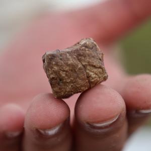 Легкое говяжье кубики