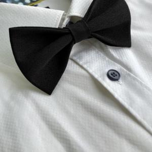 Галстук Бабочка