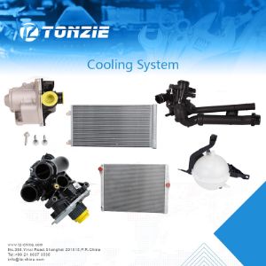 Наш ассортимент