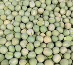 Горошек зеленый