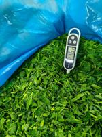 Зелень замороженная Заморозка Нарезная