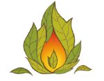 Огнецвет — травяные сборы чая, благовония, наборы для парения