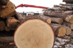 FRUMAX — производитель древесных полов
