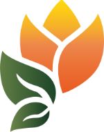 горшечная продукция, срез хризантемы, рассада