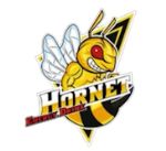 Hornet Energy — производство премиальных энергетических напитков в европе