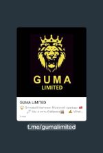 GUMA Limited — производитель люксовой мужской одежды