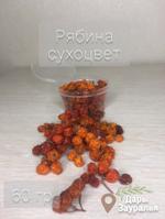 Рябина сухоцвет Д Предметы D Items