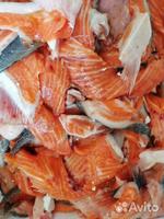 занимаемся оптовыми продажами свежемороженой рыбы