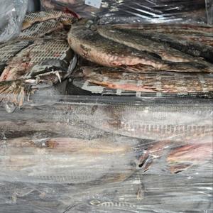 Свежемороженая щука