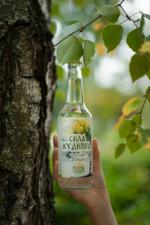 Березовый сок "Сила Кудияра" сезонный продукт с мая по июль Пивоваренный завод Панкрат бутылка стекло 0,45