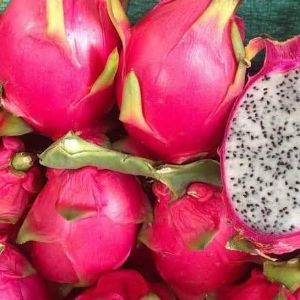 Dragon fruit: red, white.  
Shelf life 45 days.  
✈️  to Europe and Russia by air (12-24 hours)
🛳 To the countries of Southeast Asia by sea (14-28 days)