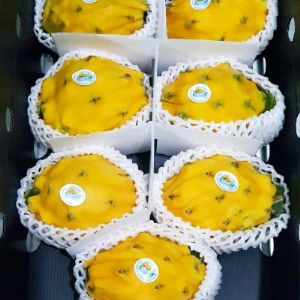 Питахайя Голд