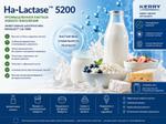 Ha-Lactase 5200 — фермент для безлактозной молочной продукции Kerry Group 3507909000