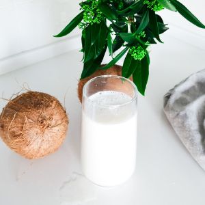 кокосовое молоко купить оптом