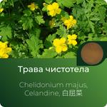 Чистотела экстракт сухой https://www.altai-extracts.ru/trava-chistotela