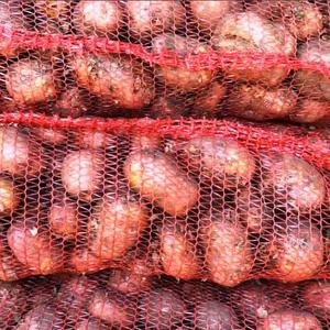 Картофель Гала, калибр от 3, 4, 5, 6+. Фасовка мешки зашивки и завязки от 25 до 32 кг. Фитосанитарный контроль. Лежкость отличная, можно приехать лично и все увидеть. Погрузка карой, подъезды чистые фуры хорошо проходят. Документы в порядке. Оплата на весах или предоплата после осмотра, нал безнал с НДС и без. Доставка и самовывоз Иркутск. Подробнее уточняйте пожалуйста по телефону в рабочее время по Иркутску. Благодарю за понимание. До связи!