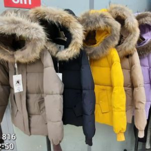 Одежда верхняя швейная женская из шерстяных тканей, из тканей из химических волокон и нитей, в том числе утепленные натуральным пухом, химическими материалами (холлофайбер, синтепон): куртки, пуховики, пальто