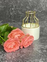 Вазы для цветов HM-VASE17/золотой