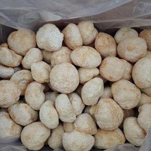 Ежовик