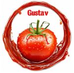 Кетчуп GUSTAV