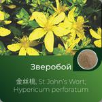 Зверобоя экстракт сухой https://altai-extracts.ru/stjohns_wort