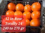 Fresh Orange Export Iran Fruit 210 to 320 gr