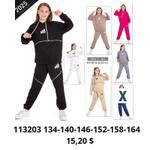 Детский спортивный костюм для девочек 113203