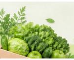 продукты питания