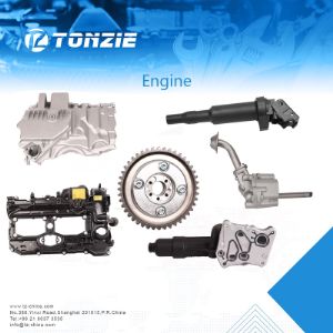 Наш ассортимент