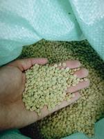 Чечевица зеленая