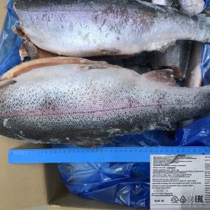 Более двухста тысяч тонн рыбы и морепродуктов в наличии на складе, весь товар имеет ветеринарные свидетельства и готов к отгрузке, возможен самовывоз или доставка транспортной компанией, оплата с НДС и без НДС, заявки можно направить по телефону  WhatsApp