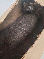 среднелистовой индийский чай