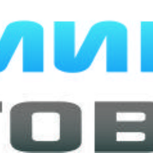 Логотип компании ТД Мир Товаров. 