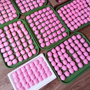 Заказ на тюльпаны в количестве 500шт